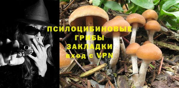 ешки Армянск