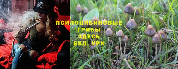 ешки Армянск