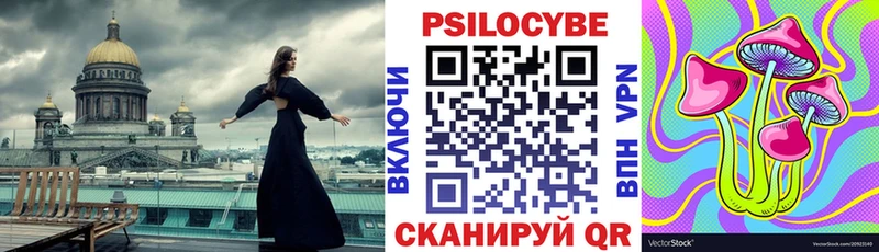 Псилоцибиновые грибы мицелий  где купить наркоту  Рошаль 
